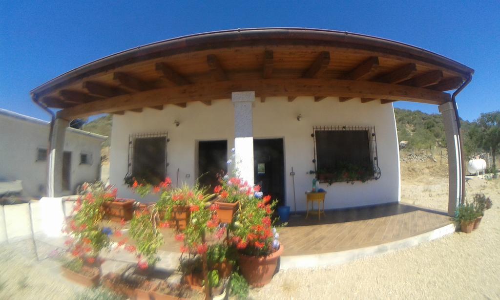 Agriturismo Locoe Oliena Exterior photo