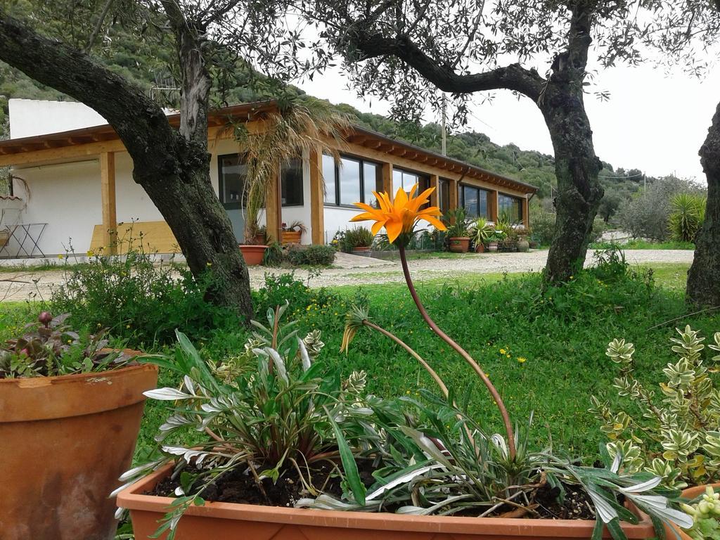 Agriturismo Locoe Oliena Exterior photo